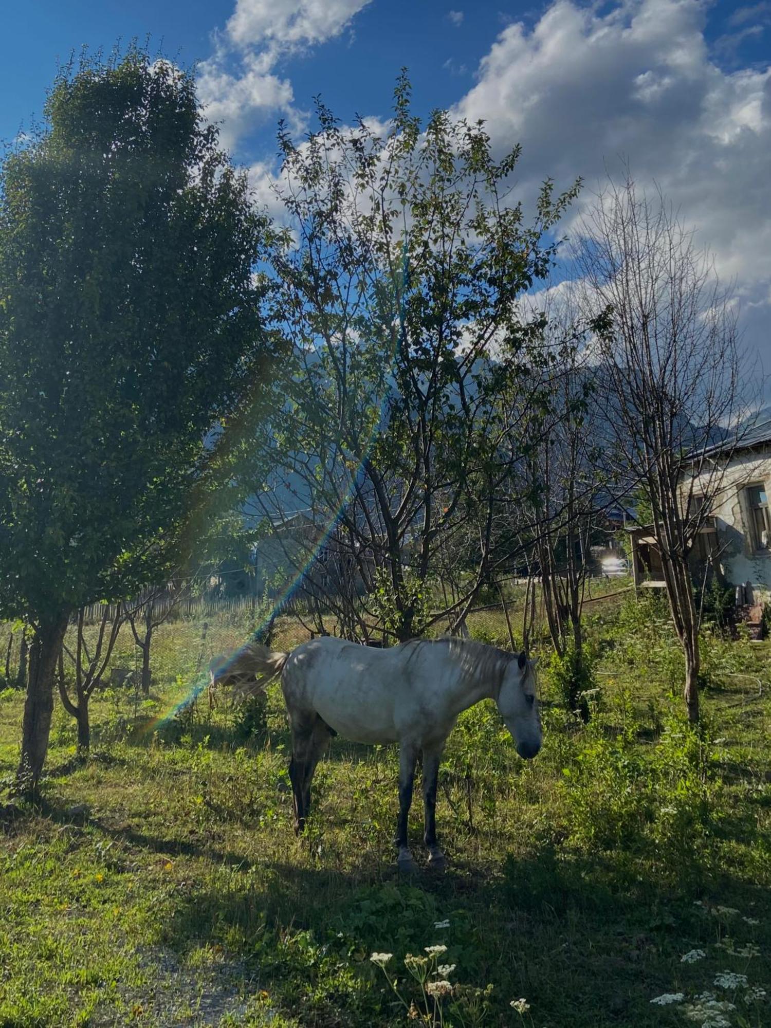 Guest House Shuan Chokhuldi Εξωτερικό φωτογραφία